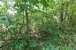 property photo for Springlake Plat 4 Tract 37, 0.38 acres for sale in Miller County, Missouri