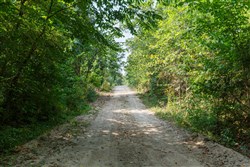 property photo for Springlake Plat 4 Tract 38, 0.38 acres for sale in Miller County, Missouri