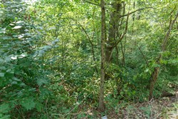 property photo for Springlake Plat 4 Tract 38, 0.38 acres for sale in Miller County, Missouri