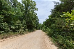 property photo for Springlake Plat 6 Tract 109, 0.38 acres for sale in Miller County, Missouri