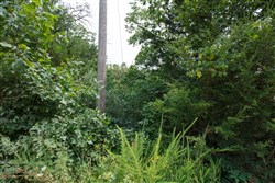 property photo for Springlake Plat 6 Tract 109, 0.38 acres for sale in Miller County, Missouri
