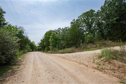 property photo for Springlake Plat 6 Tract 109, 0.38 acres for sale in Miller County, Missouri