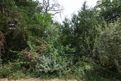 property photo for Springlake Plat 6 Tract 109, 0.38 acres for sale in Miller County, Missouri