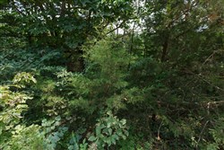 property photo for Springlake Plat 6 Tract 110, 0.38 acres for sale in Miller County, Missouri