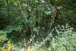property photo for Springlake Plat 6 Tract 110, 0.38 acres for sale in Miller County, Missouri