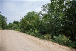 property photo for Springlake Plat 6 Tract 110, 0.38 acres for sale in Miller County, Missouri