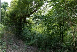 property photo for Springlake Plat 6 Tract 123, 0.2 acres for sale in Miller County, Missouri