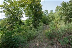 property photo for Springlake Plat 6 Tract 123, 0.2 acres for sale in Miller County, Missouri