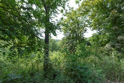 property photo for Springlake Plat 6 Tract 123, 0.2 acres for sale in Miller County, Missouri