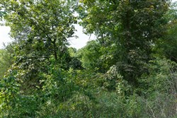 property photo for Springlake Plat 6 Tract 123, 0.2 acres for sale in Miller County, Missouri