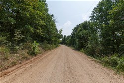 property photo for Springlake Plat 6 Tract 129, 0.28 acres for sale in Miller County, Missouri