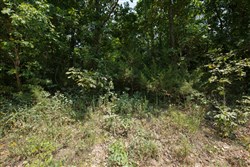 property photo for Springlake Plat 6 Tract 129, 0.28 acres for sale in Miller County, Missouri