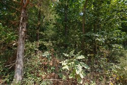 property photo for Springlake Plat 6 Tract 129, 0.28 acres for sale in Miller County, Missouri