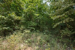 property photo for Springlake Plat 6 Tract 129, 0.28 acres for sale in Miller County, Missouri