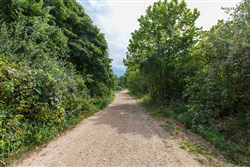 property photo for Springlake Plat 6 Tract 63, 0.38 acres for sale in Miller County, Missouri