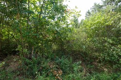 property photo for Springlake Plat 6 Tract 63, 0.38 acres for sale in Miller County, Missouri