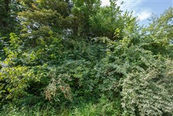 property photo for Springlake Plat 6 Tract 63, 0.38 acres for sale in Miller County, Missouri