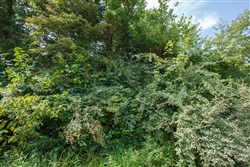 property photo for Springlake Plat 6 Tract 64, 0.38 acres for sale in Miller County, Missouri