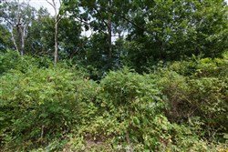 property photo for Springlake Plat 6 Tract 64, 0.38 acres for sale in Miller County, Missouri