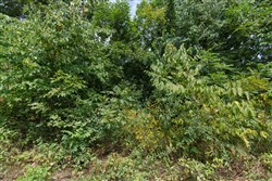 property photo for Springlake Plat 6 Tract 64, 0.38 acres for sale in Miller County, Missouri