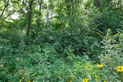 property photo for Springlake Plat 6 Tract 72, 0.38 acres for sale in Miller County, Missouri
