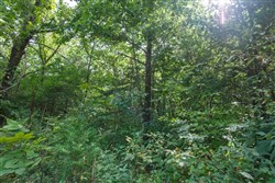 property photo for Springlake Plat 6 Tract 73, 0.38 acres for sale in Miller County, Missouri