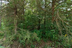 property photo for Springlake Plat 6 Tract 74, 0.38 acres for sale in Miller County, Missouri