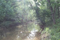 property photo for Cedar Ridge Ranch Tract 7, 5.1 acres for sale in Phelps County, Missouri