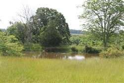 property photo for Cedar Ridge Ranch Tract 7, 5.1 acres for sale in Phelps County, Missouri