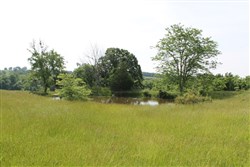 property photo for Cedar Ridge Ranch Tract 7, 5.1 acres for sale in Phelps County, Missouri
