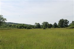 property photo for Cedar Ridge Ranch Tract 7, 5.1 acres for sale in Phelps County, Missouri