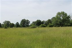property photo for Cedar Ridge Ranch Tract 7, 5.1 acres for sale in Phelps County, Missouri
