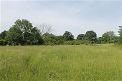 property photo for Cedar Ridge Ranch Tract 7, 5.1 acres for sale in Phelps County, Missouri