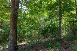 property photo for Cypress Ridge Tract 11, 5.33 acres for sale in Reynolds County, Missouri