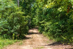 property photo for Cypress Ridge Tract 11, 5.33 acres for sale in Reynolds County, Missouri