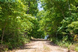 property photo for Cypress Ridge Tract 11, 5.33 acres for sale in Reynolds County, Missouri
