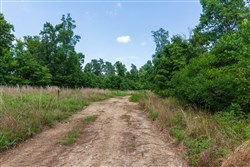 property photo for Cypress Ridge Tract 15, 7.5 acres for sale in Reynolds County, Missouri