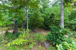 property photo for Cypress Ridge Tract 15, 7.5 acres for sale in Reynolds County, Missouri