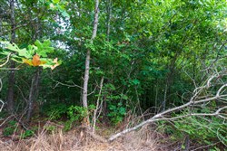 property photo for Cypress Ridge Tract 15, 7.5 acres for sale in Reynolds County, Missouri