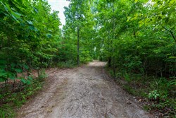 property photo for Cypress Ridge Tract 19, 6.07 acres for sale in Reynolds County, Missouri