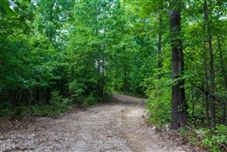 property photo for Cypress Ridge Tract 19, 6.07 acres for sale in Reynolds County, Missouri