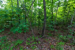 property photo for Cypress Ridge Tract 19, 6.07 acres for sale in Reynolds County, Missouri