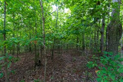 property photo for Cypress Ridge Tract 19, 6.07 acres for sale in Reynolds County, Missouri