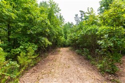 property photo for Cypress Ridge Tract 21, 6.67 acres for sale in Reynolds County, Missouri