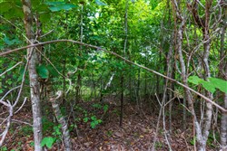 property photo for Cypress Ridge Tract 21, 6.67 acres for sale in Reynolds County, Missouri