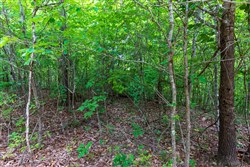 property photo for Cypress Ridge Tract 21, 6.67 acres for sale in Reynolds County, Missouri