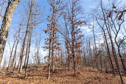 property photo for Cypress Ridge Tract 39, 5.02 acres for sale in Reynolds County, Missouri