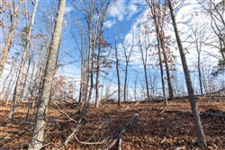 property photo for Cypress Ridge Tract 39, 5.02 acres for sale in Reynolds County, Missouri