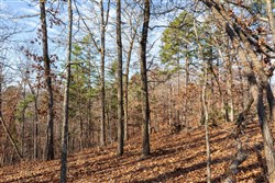 property photo for Cypress Ridge Tract 39, 5.02 acres for sale in Reynolds County, Missouri