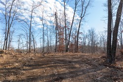 property photo for Cypress Ridge Tract 40, 4.92 acres for sale in Reynolds County, Missouri